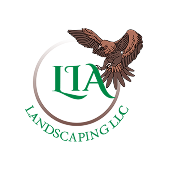 logo1